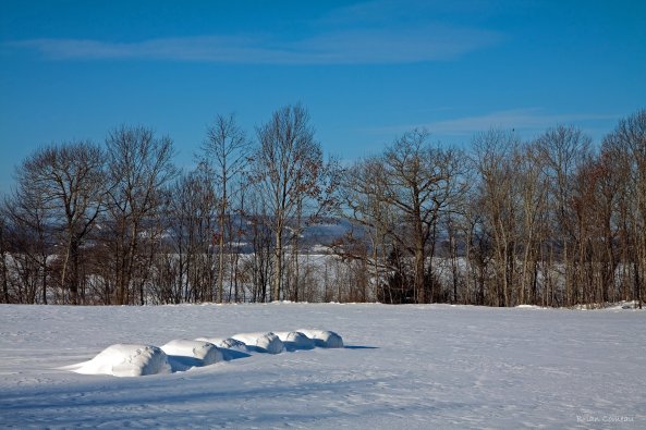 "Fallen Snowmen" - Kingston Peninsula, NB